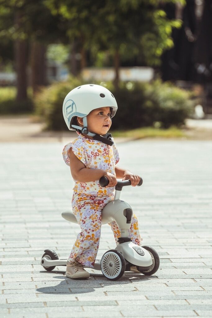 Scoot and Ride Highwaykick 1 Ash